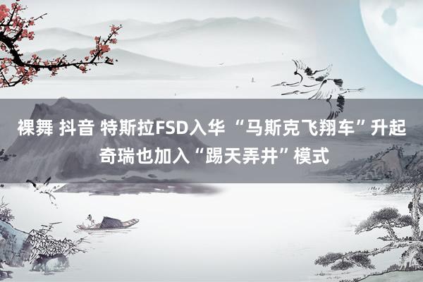 裸舞 抖音 特斯拉FSD入华 “马斯克飞翔车”升起 奇瑞也加入“踢天弄井”模式