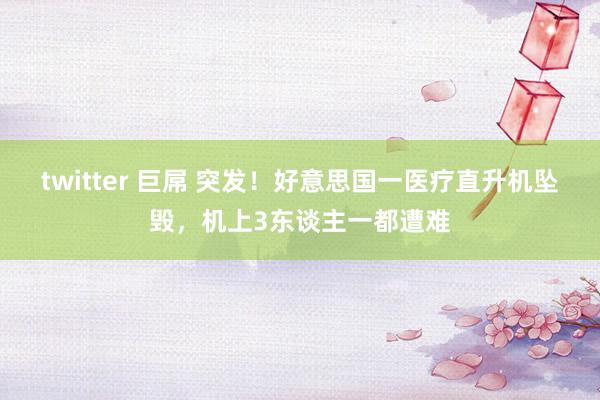 twitter 巨屌 突发！好意思国一医疗直升机坠毁，机上3东谈主一都遭难