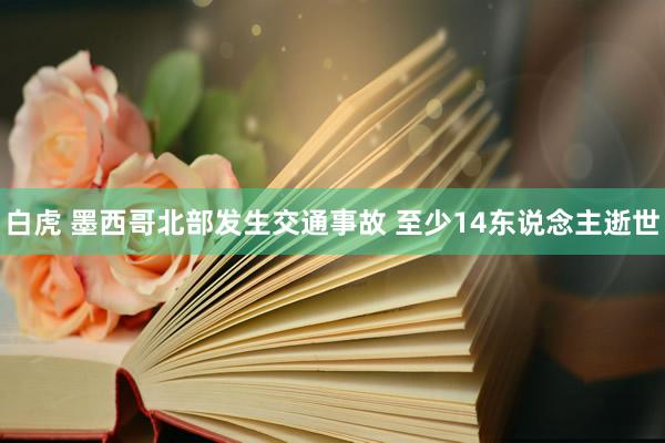 白虎 墨西哥北部发生交通事故 至少14东说念主逝世