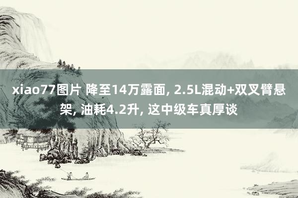 xiao77图片 降至14万露面， 2.5L混动+双叉臂悬架， 油耗4.2升， 这中级车真厚谈