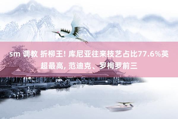 sm 调教 折柳王! 库尼亚往来技艺占比77.6%英超最高， 范迪克、罗梅罗前三