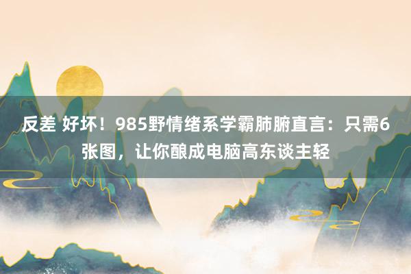 反差 好坏!985野情绪系学霸肺腑直言:只需6张图,让你酿成电脑高东谈主轻