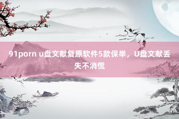 91porn u盘文献复原软件5款保举，U盘文献丢失不消慌
