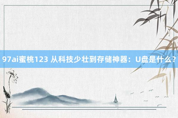 97ai蜜桃123 从科技少壮到存储神器：U盘是什么？