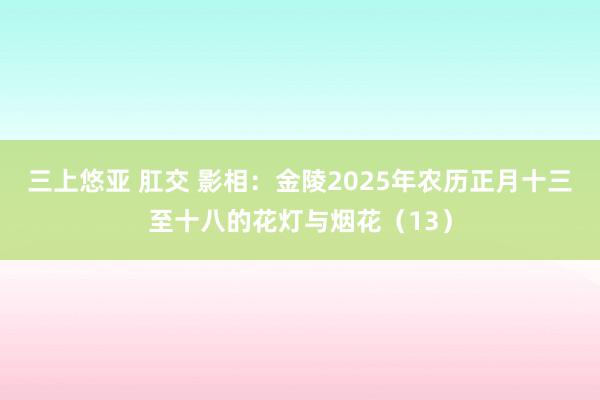 三上悠亚 肛交 影相：金陵2025年农历正月十三至十八的花灯与烟花（13）