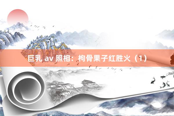 巨乳 av 照相：枸骨果子红胜火（1）