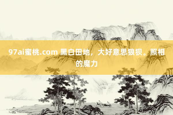 97ai蜜桃.com 黑白田地，大好意思狼狈。照相的魔力