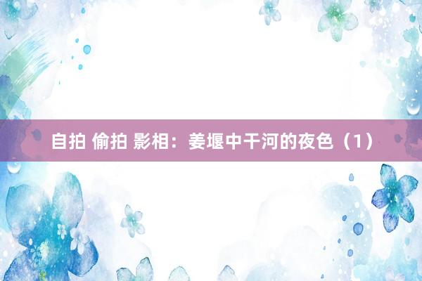 自拍 偷拍 影相：姜堰中干河的夜色（1）